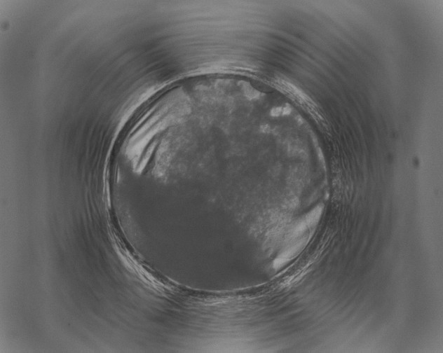 X0000067870892200605111756