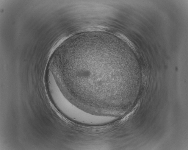 X0000067870893200605111756