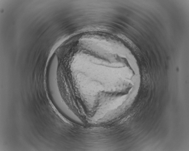 X0000067870894200605111756