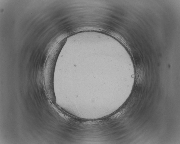 X0000067870898200605111756