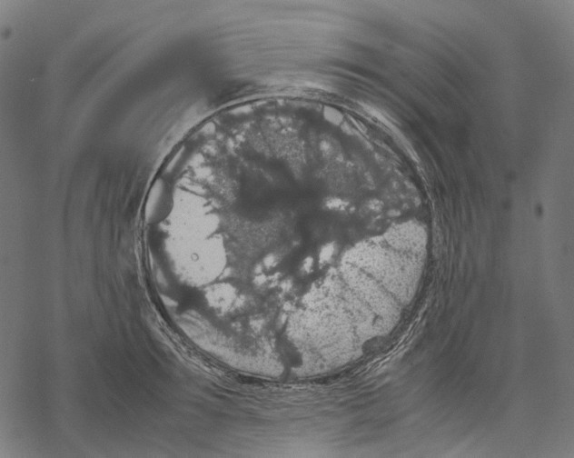 X0000067870899200605111756