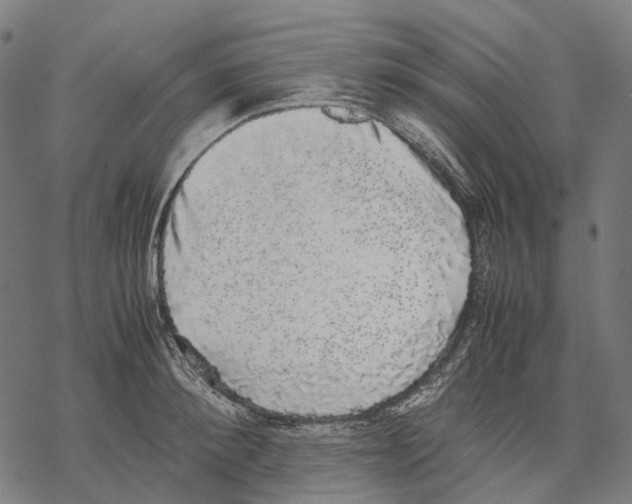 X0000067870900200605111756