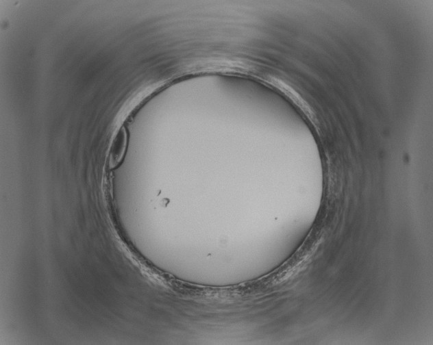 X0000067870901200605111756