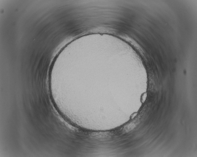 X0000067870902200605111756