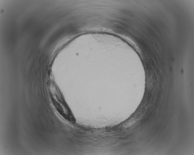 X0000067870903200605111756