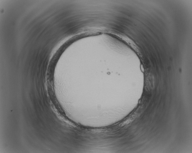 X0000067870904200605111756