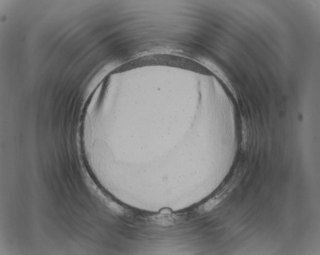 X0000067870906200605111756