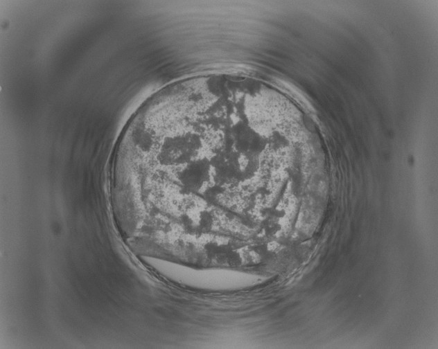 X0000067870907200605111756