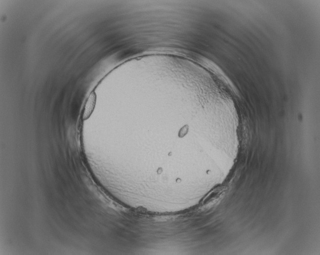 X0000067870908200605111756