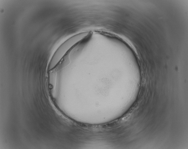 X0000067870911200605111756