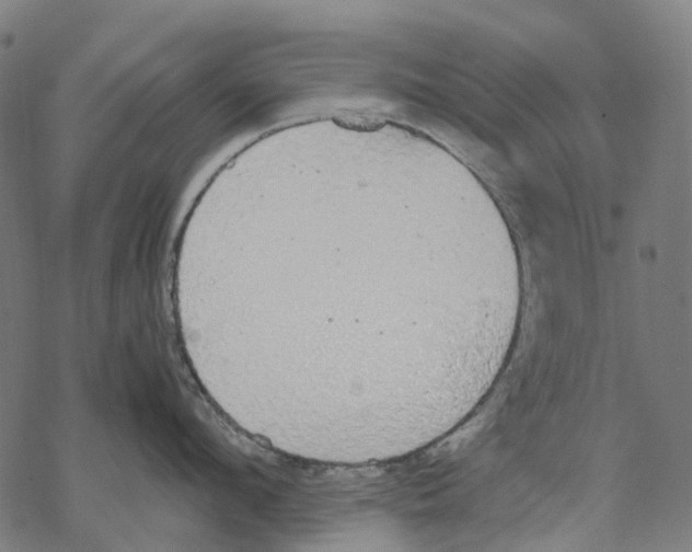 X0000067870912200605111756