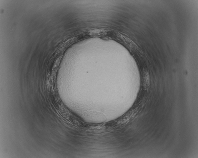 X0000067870914200605111755