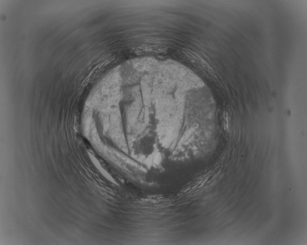 X0000067870915200605111755