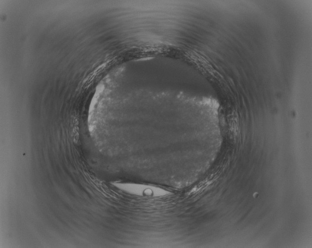 X0000067870916200605111755