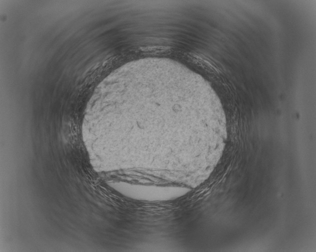 X0000067870917200605111755