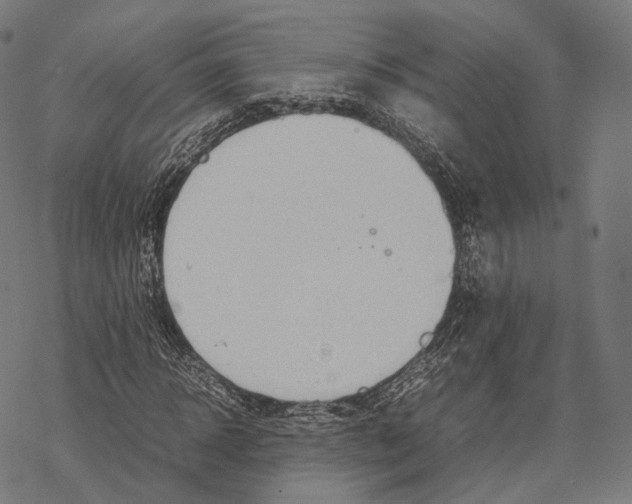 X0000067870918200605111755