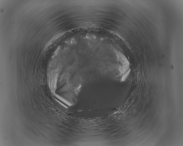 X0000067870919200605111755