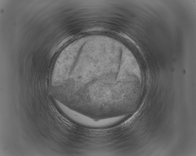 X0000067870921200605111755