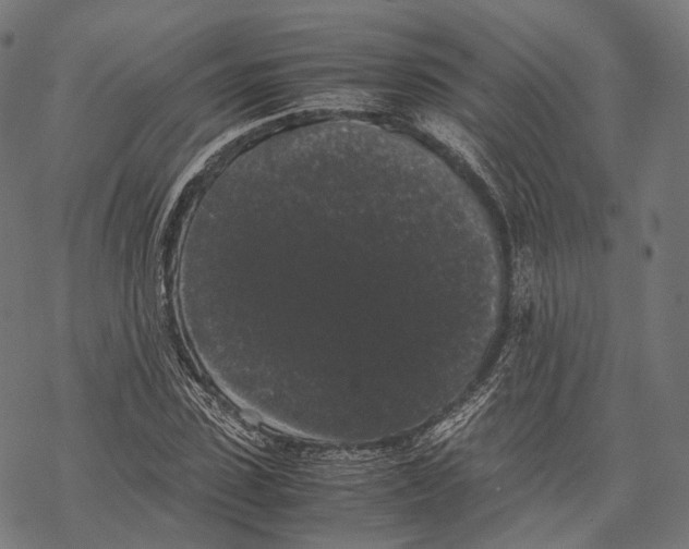 X0000067870923200605111755