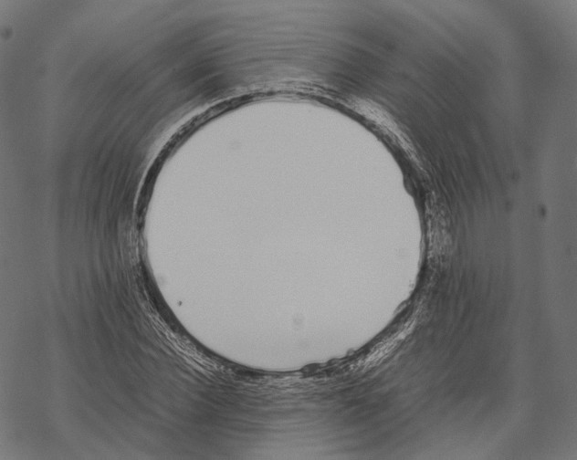 X0000067870924200605111755