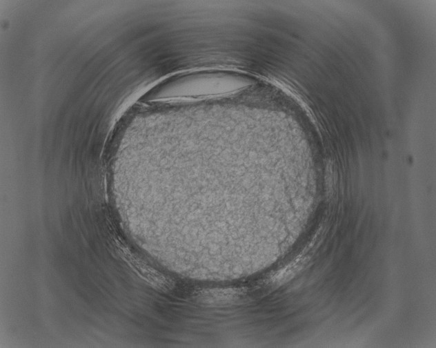 X0000067870925200605111755