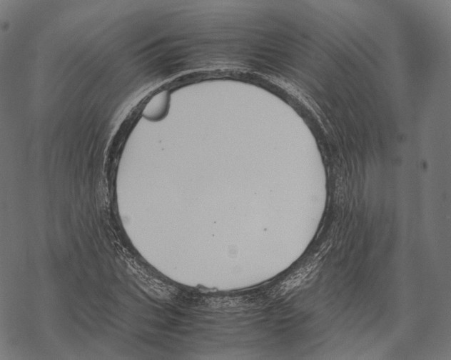 X0000067870927200605111755