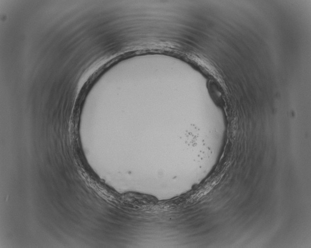 X0000067870928200605111756