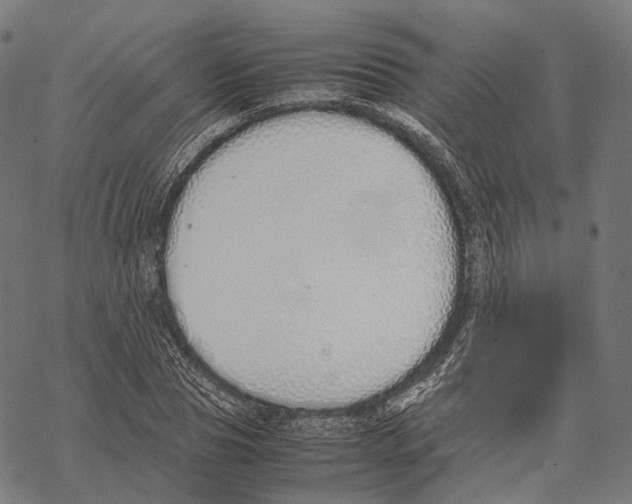 X0000067870929200605111756