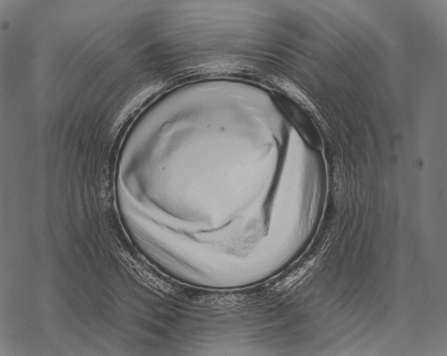 X0000067870930200605111756