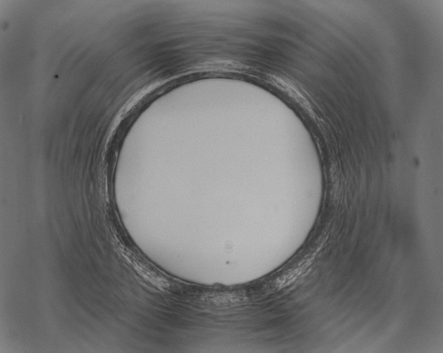 X0000067870931200605111756