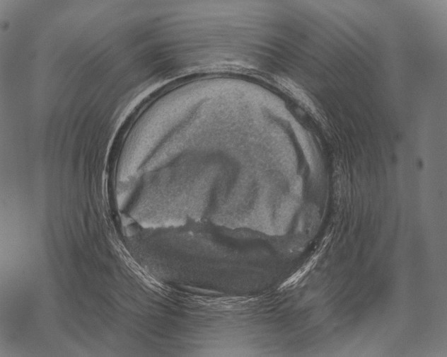 X0000067870932200605111756