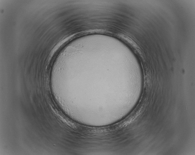 X0000067870933200605111756