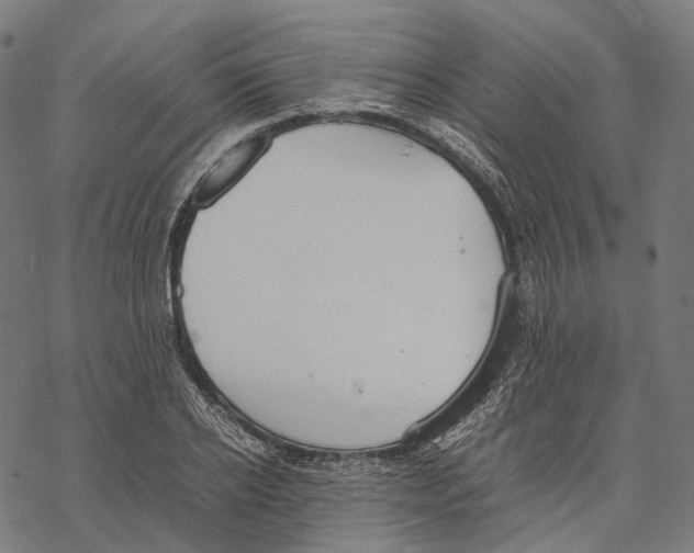 X0000067870934200605111756