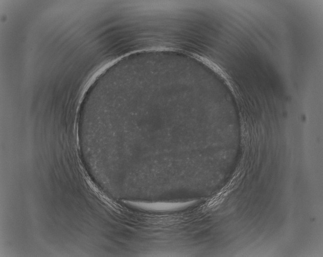 X0000067870935200605111756