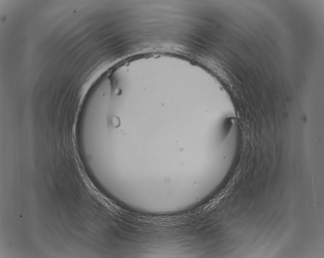 X0000067870936200605111756