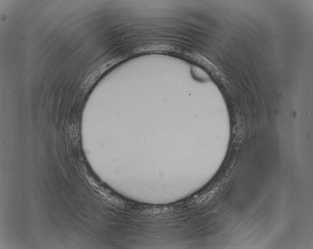 X0000067870937200605111756