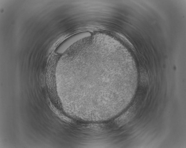 X0000067870938200605111756