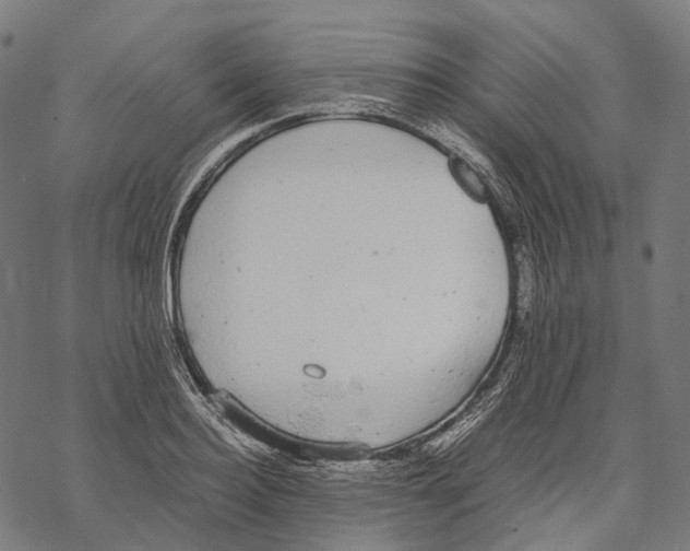 X0000067870940200605111756