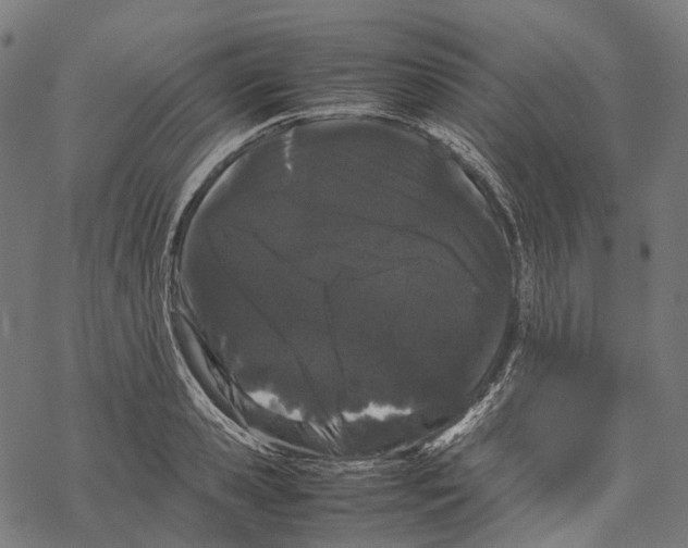 X0000067870941200605111756