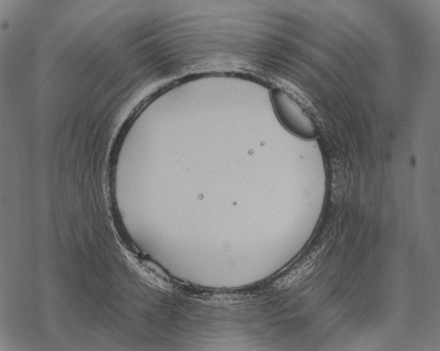 X0000067870942200605111756