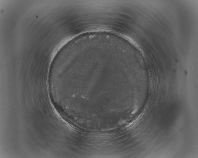 X0000067870943200605111756