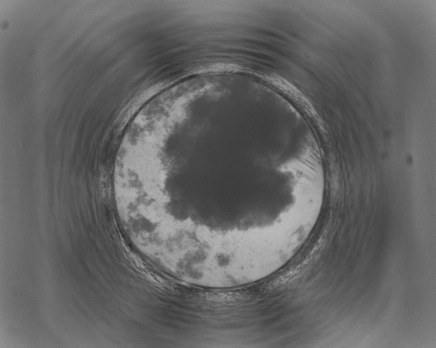 X0000067870945200605111756