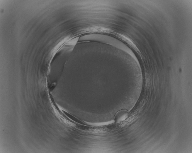 X0000067870946200605111756