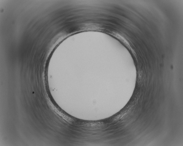 X0000067870947200605111756