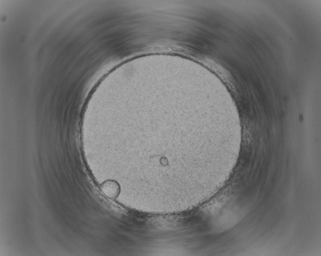 X0000067870950200605111756