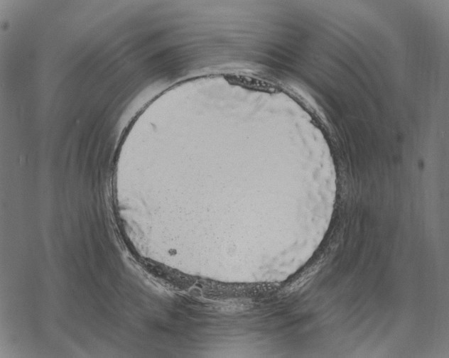 X0000067870952200605111756