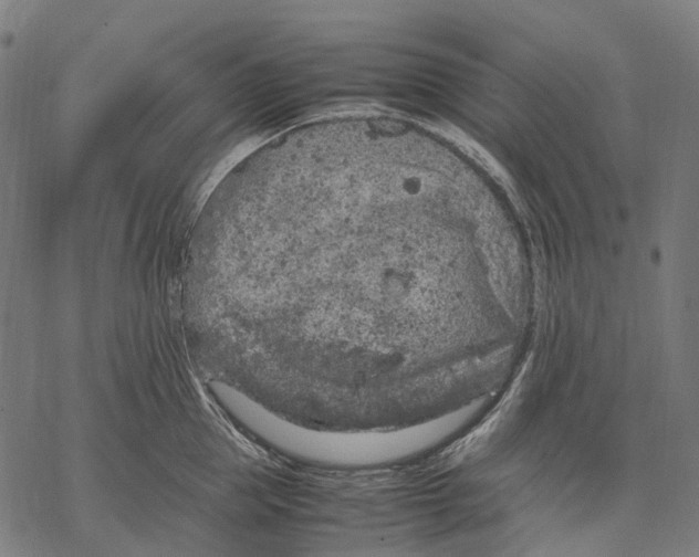 X0000067870953200605111756