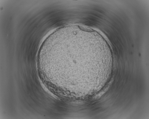 X0000067870957200605111756