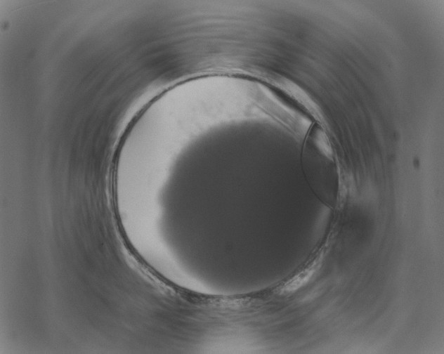 X0000067870958200605111756