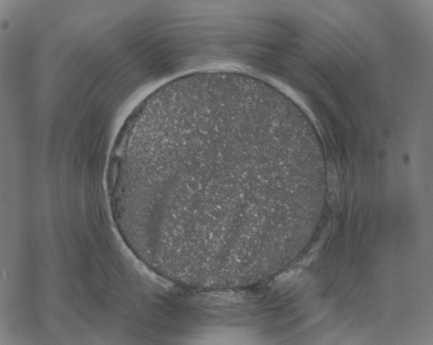 X0000067870959200605111756